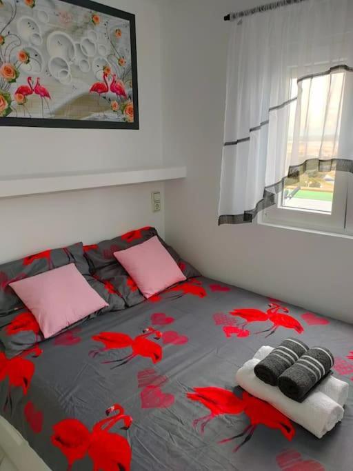 Apartament Flamingo Z Basenem Torrevieja Kültér fotó